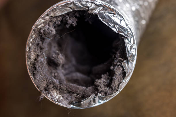 Best Air Duct Sanitizing Services  in Landis, NC